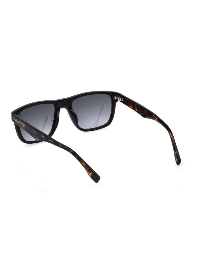 POLICE Sunglasses SPLQ83M - Image 5